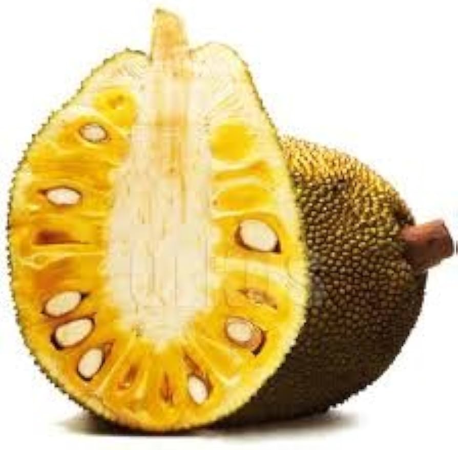 JACKFRUIT 2 LB