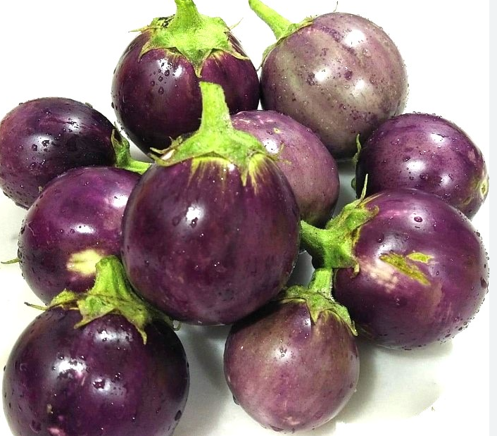 ROUND EGGPLANT (Brinjal)- 1 LB