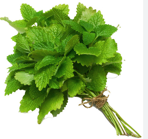 MINT LEAVES - 1 BUNCH