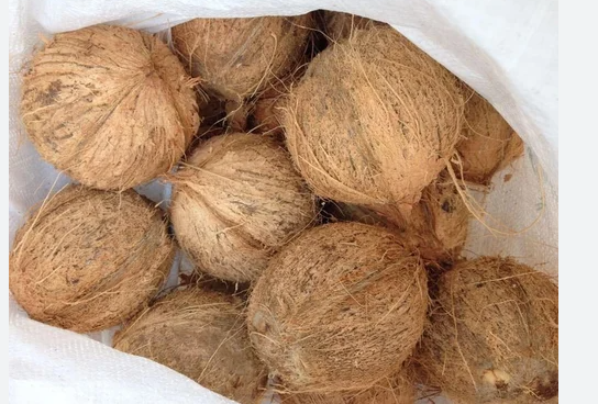 DRY WHOLE COCONUT