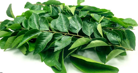 CURRY LEAVES