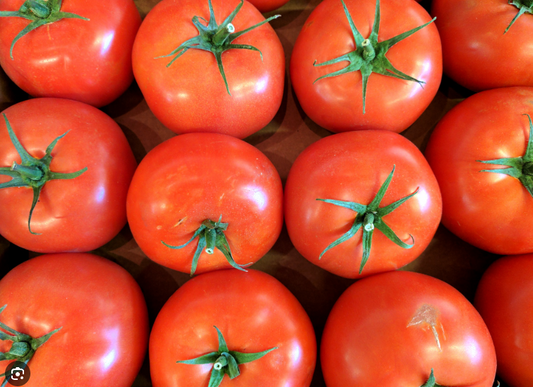 ROUND TOMATOES