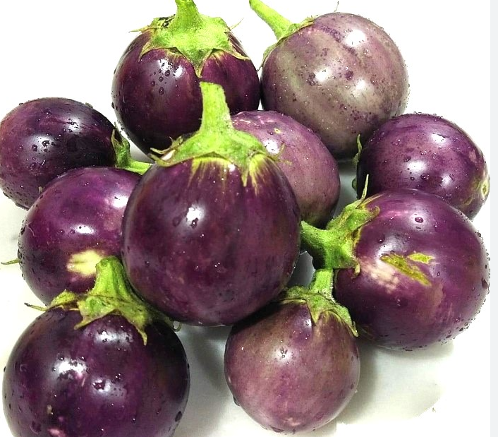 ROUND EGGPLANT (Brinjal)