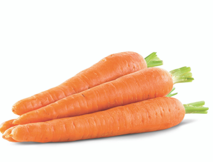 CARROT