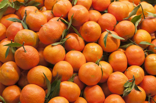 ORANGE - 1 COUNT