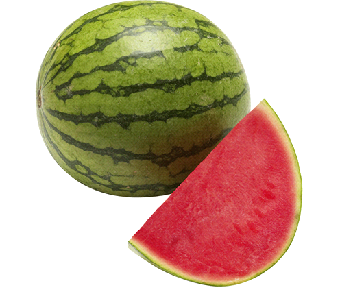 WATERMELON MEDIUM SIZE - 1 COUNT