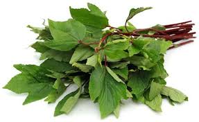 GONGURA LEAVES (Seasonal)